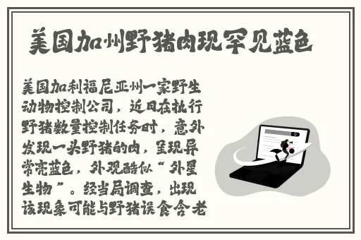 万篇长征黑料不打烊最新网站