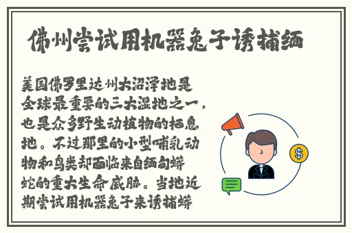 打扑克不盖被子据烈摇床
